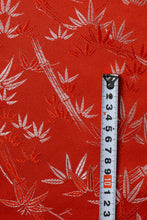 画像をギャラリービューアに読み込む, 竹 - Bamboo grove -