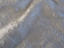 画像をギャラリービューアに読み込む, カットジャカードアネモネ 白黒 〈9998〉