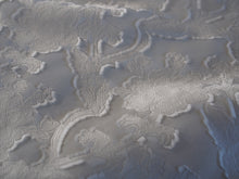 画像をギャラリービューアに読み込む, カットジャカードアネモネ 白黒 〈9998〉