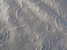 画像をギャラリービューアに読み込む, カットジャカードアネモネ 白黒 〈9998〉