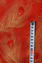 画像をギャラリービューアに読み込む, 孔雀 - Peacock -
